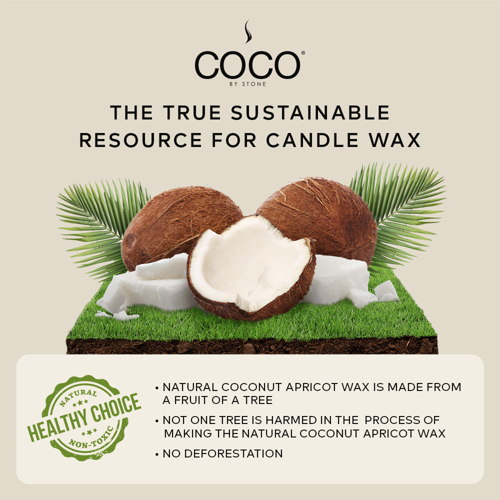 Honeysuckle Natural Coconut Apricot Wax Candle