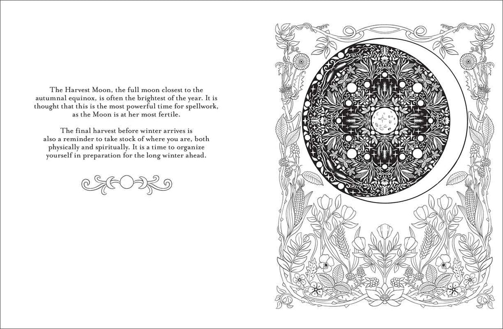 Believe in Magic Coloring Book by Claire Scully